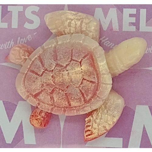 Strawberry And Cream Turtle